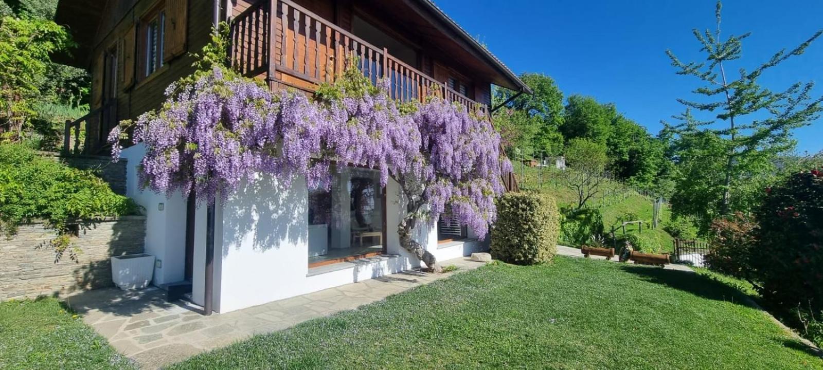 Chalet Sophie - Luxury Chalet Roletto Kültér fotó